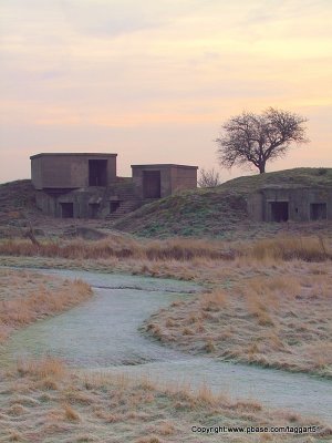 WW2 defences in the dawn