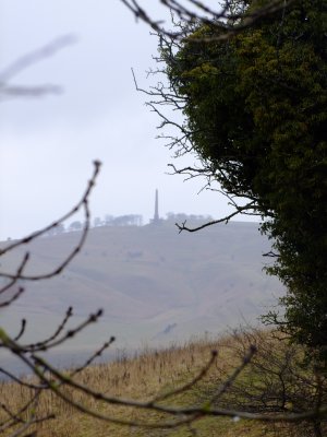 A  first  glimpse  of  the  Cherhill  monument.