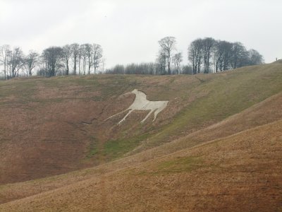The Cherhill  White  Horse on a rather dreich day.