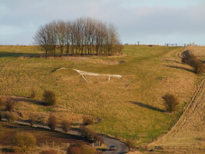  Hackpen  Hill , The  White  Horse.
