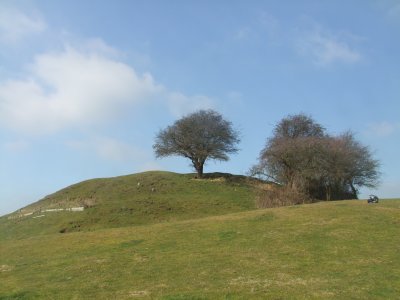 Castle  Hill, the  motte