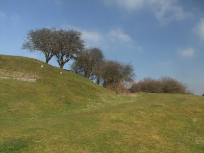 Castle Hill motte