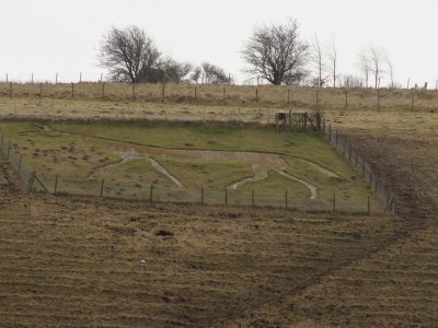 The  Pewsey  (anything but) white  horse.