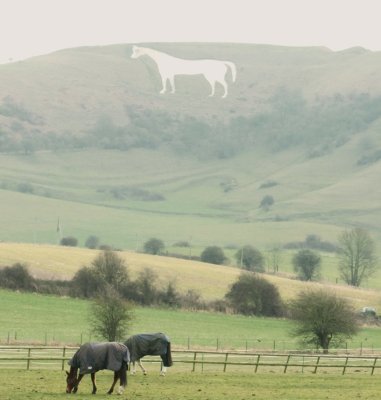 Westbury  white  horse.