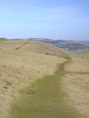 The  White  Horse Trail   along  Walker's  Hill.