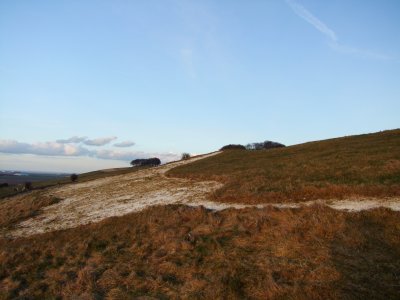 Looking  north  east  across  the  white  horse.