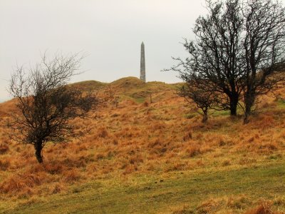 Cherhill  monument  across  Oldbury  hillfort  ramparts.