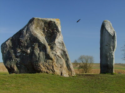 Two  stones  at  Avebury.