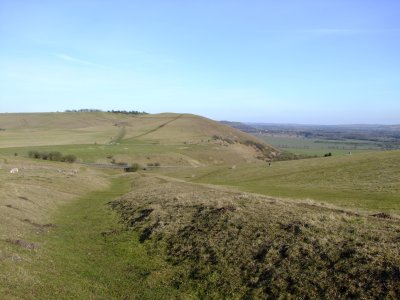 Looking  east  along  cross  dyke  to  Knap  Hill  and  beyond.
