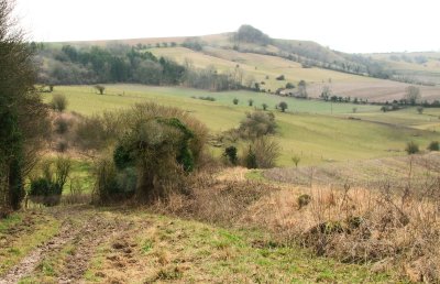 Looking  south  from  the  Roman  Road  to  King's  Play  Hill.