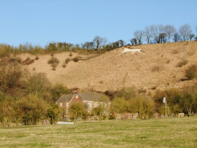 The  Broad  Town  White  Horse.