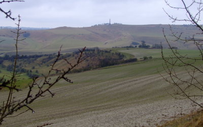 Cherhill  and  Monument  from The  White  Horse Trail, on The  Roman  Road