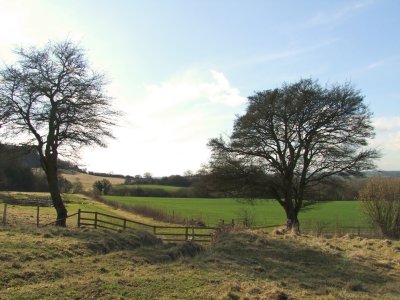 The  White  Horse  Trail  near  Broad Town
