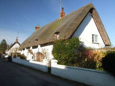 A  thatched  white  walled  cottage.