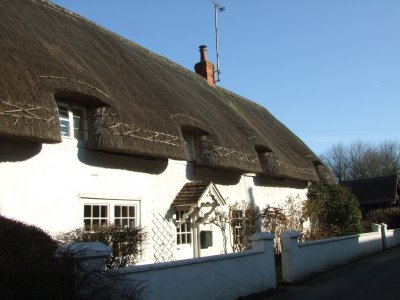 Yet  another, thatched, white  walled  cottage.