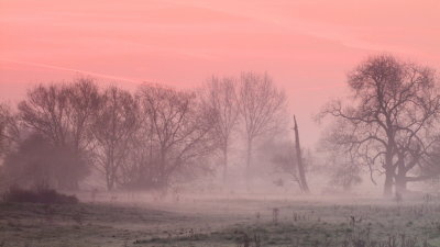 Misty  dawn ,near Stapleford  Airfield