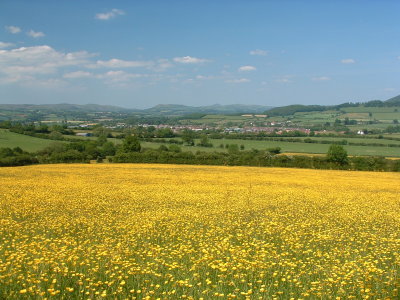 Looking  north  to  the  Stretton  Hills.