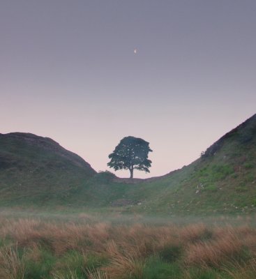 The  moon  over  Sycamore  Gap.