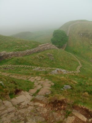 The  descent  to  Sycamore  Gap.