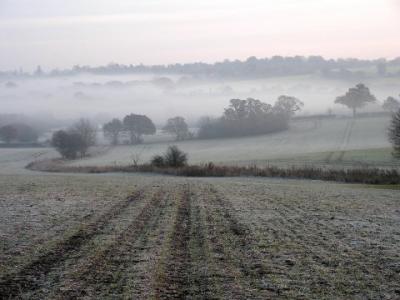 Frosty morning