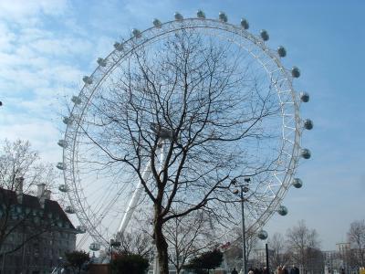 Tree in a Wheel