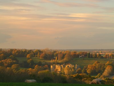 Late afternoon sun bathes the ruins.