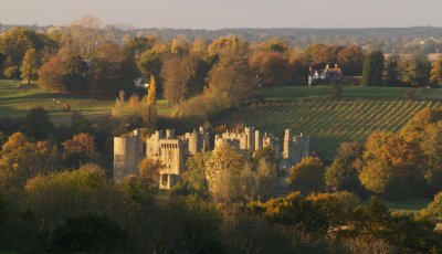 Castle ruins in arboreal splendour.