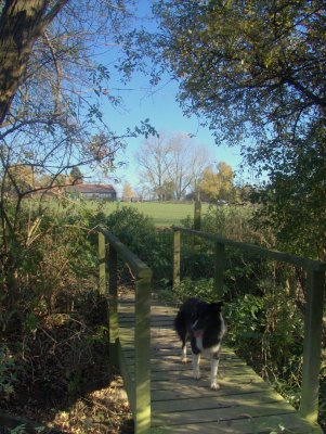 Looking across the footbridge to Murrell's Farm.