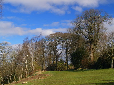 Annan  Castle, the  motte  ,viewed  from  the  remains  of  the  bailey.