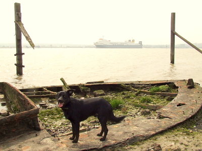 Max on the sunken barge.