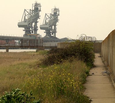 The footpath along the front of the sea wall
