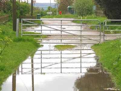 A  farm  gate, in reflection - 1