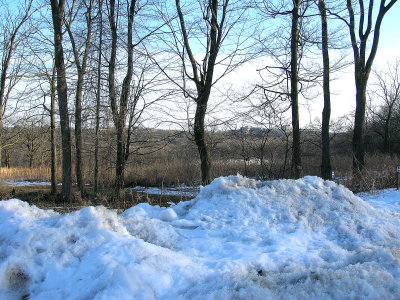 g3/65/657165/3/94550576.zSpkH7IT.jpg