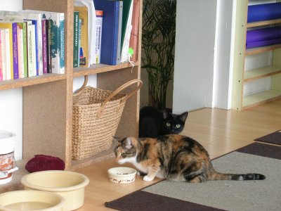 DSCN3304.jpg