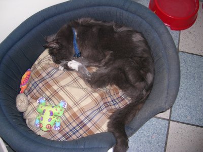 DSCN3574.jpg