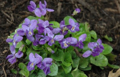 DSC_3549_2.jpg