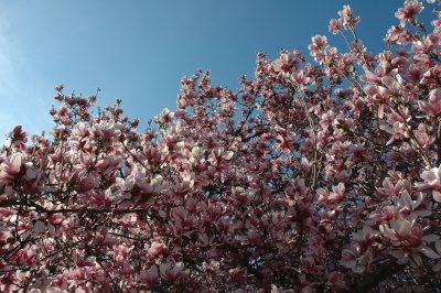 DSC_3570.jpg