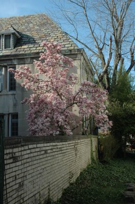 DSC_3582.jpg