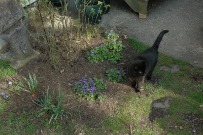 DSC_3584.jpg