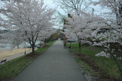 DSC_3591.jpg