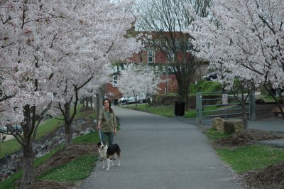 DSC_3592.jpg