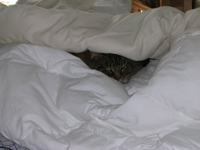 DSCN2785.jpg