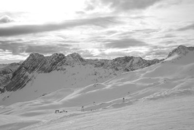 DSC_4314.jpg