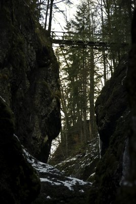 DSC_4514.jpg
