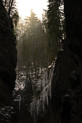 DSC_4518.jpg