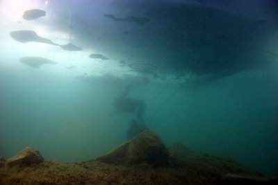 Divers descending through the hole