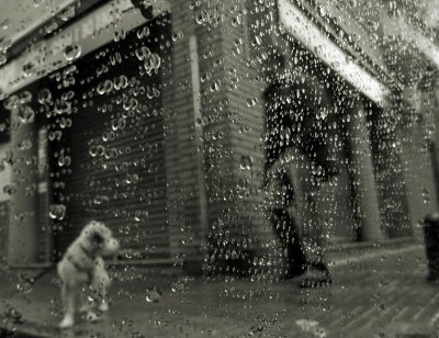 strangers in the rain