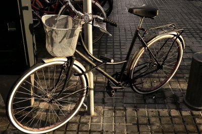 bicicleta con cesto