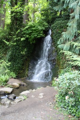 Living Water.JPG