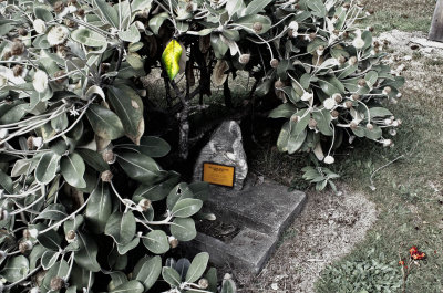 Arrowtown Cemetary